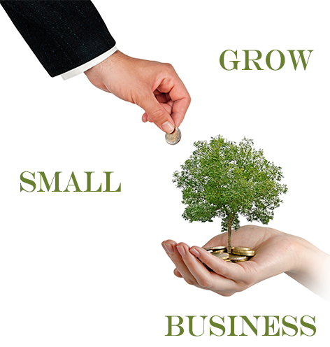 Grow your Small Business Brand