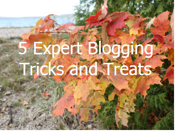 Expert Blogging Tips