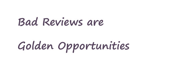 Bad Reviews Golden Opportunities