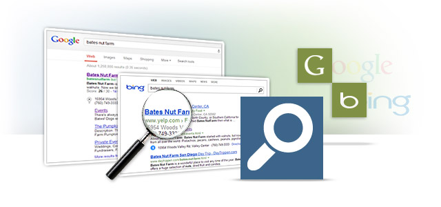 Search Engine Optimization