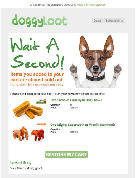 Doggy loot shopping cart abandonment email example with call-to-action