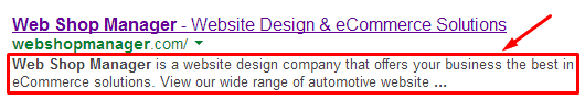 Example of a Meta Description in SERP