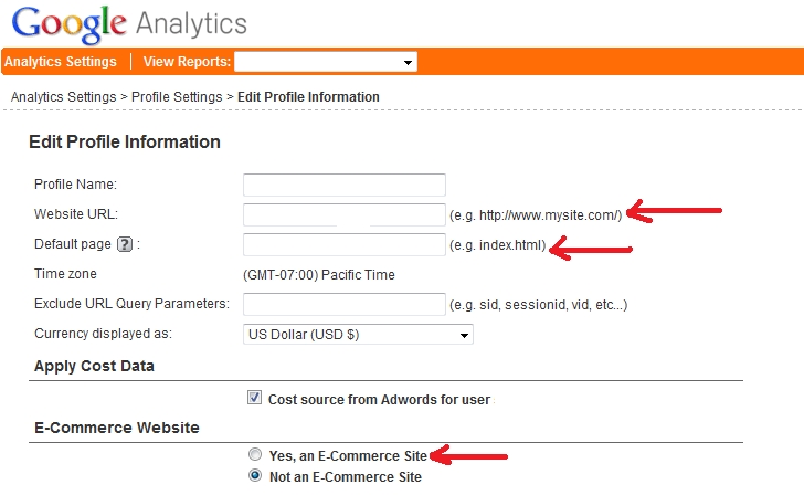 Google Analytics Website Profile settings for accurate e-commerce reporting