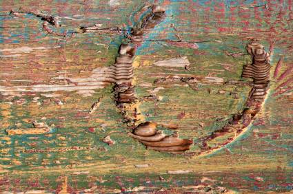 Web Shop Manager blog discussing building big brands with a graphic of a word bubble containing the word 