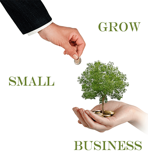 visual of a graph showing small business growth