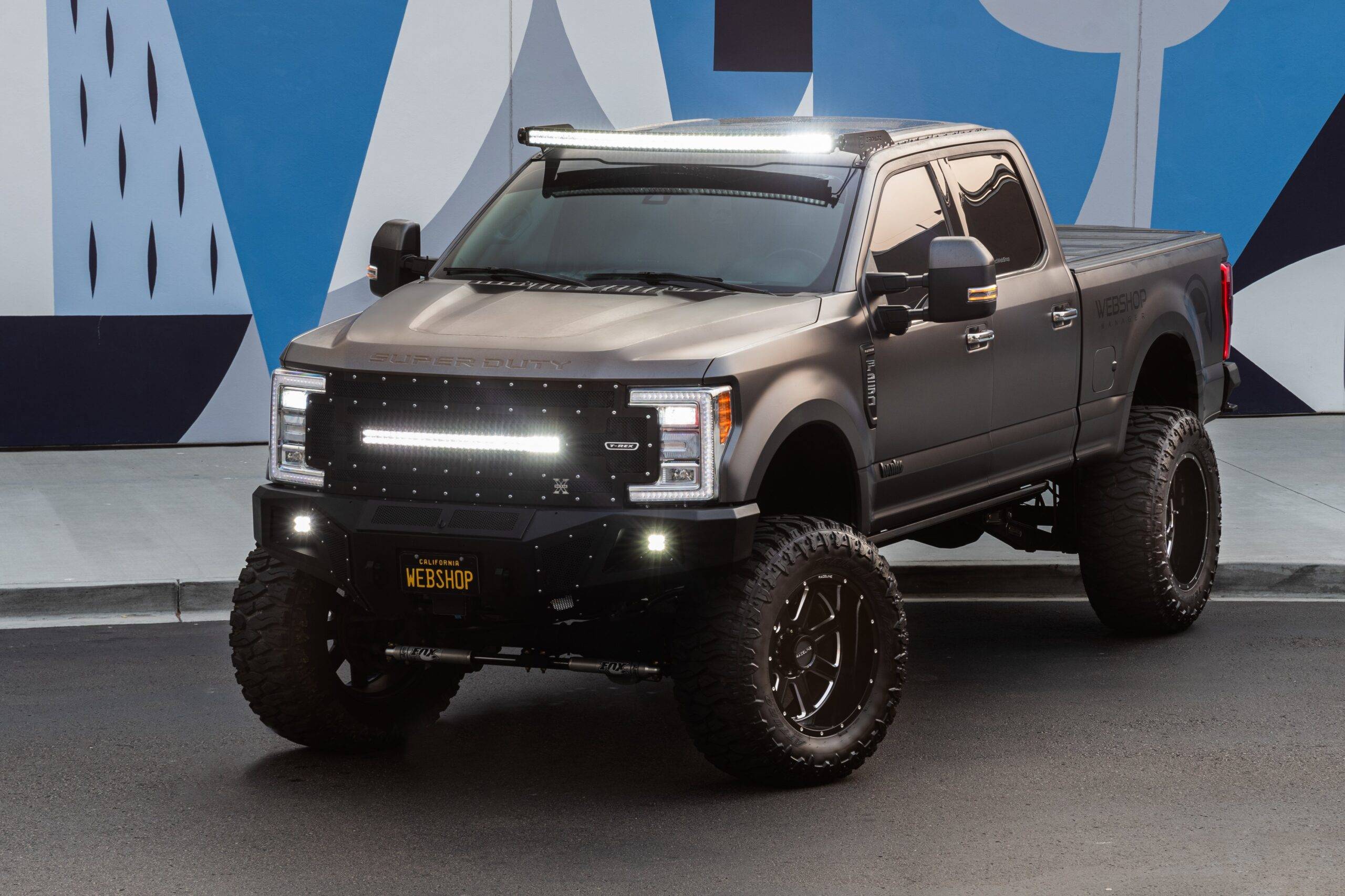 Top 3/4 view of Dana Nevins' 2017 F-250 Super Duty