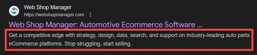 Example of a Meta Description in SERP